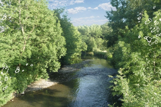 La Nivelle, rivière à truite des Pyrénées, 64