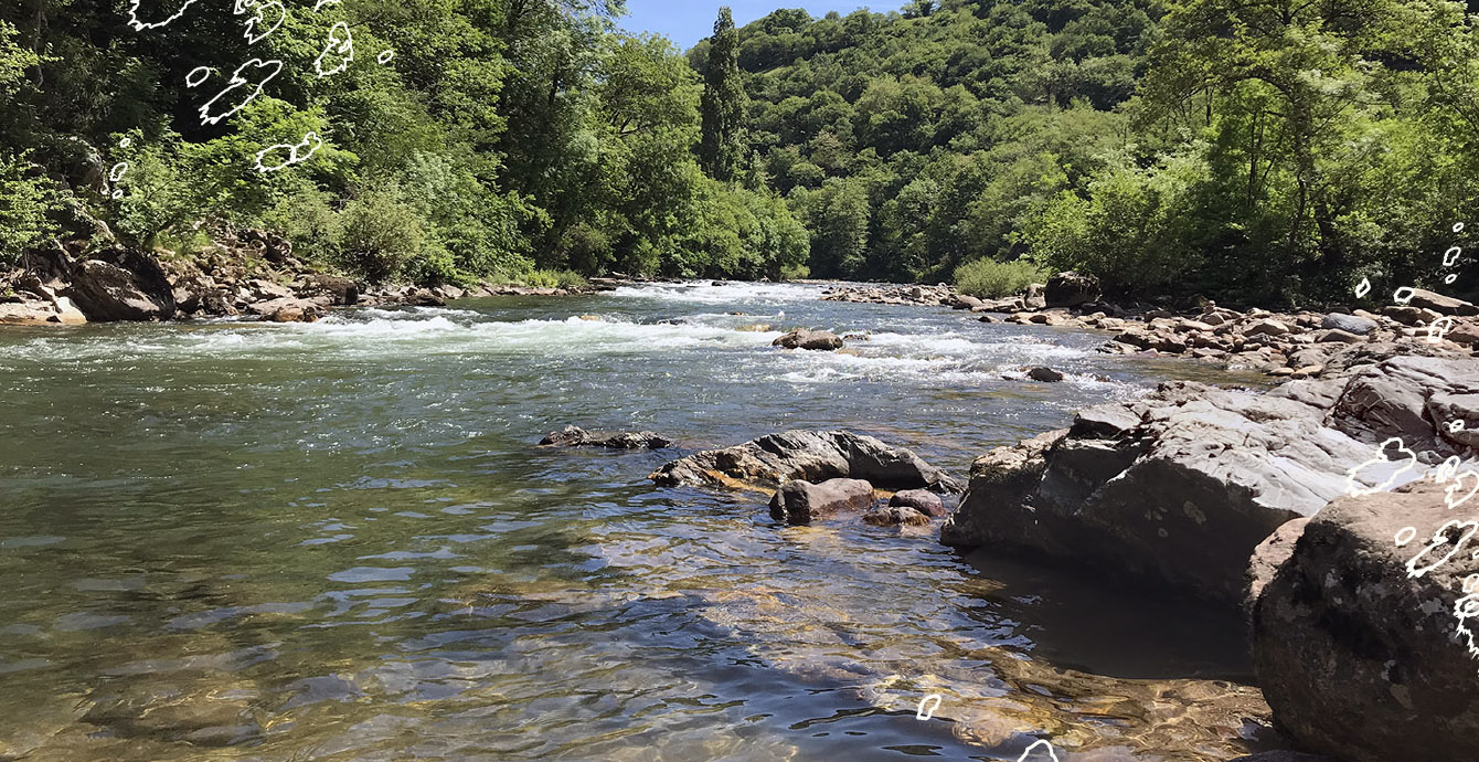 Nive, rivière à truite basque pêche 64