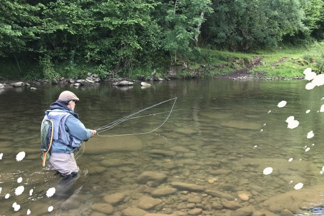 pêche truite mouche sèche rivière basque