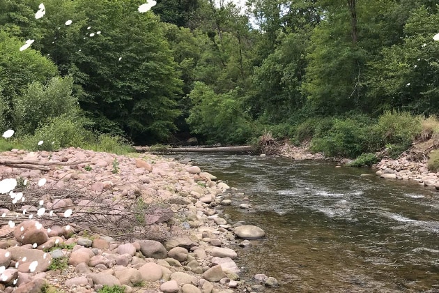 stream for fly fishing france 64
